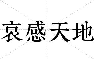 哀感天地