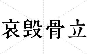 哀毁骨立