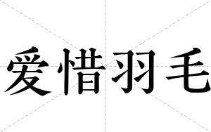 爱惜羽毛