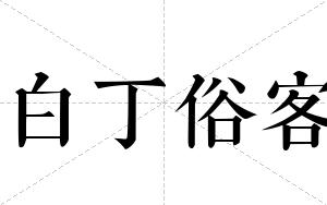 白丁俗客