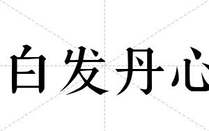 白发丹心