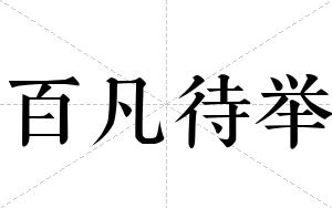 百凡待举