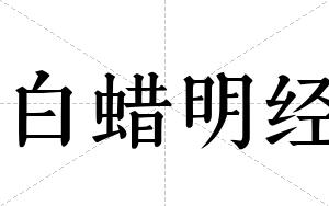 白蜡明经