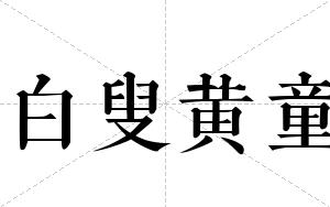 白叟黄童