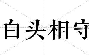 白头相守