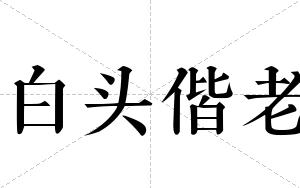白头偕老