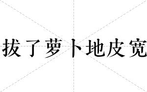 拔了萝卜地皮宽
