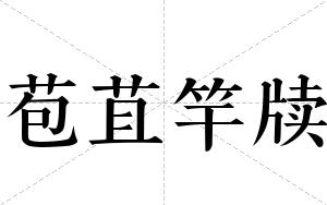 苞苴竿牍