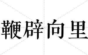 鞭辟向里