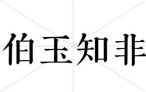 伯玉知非